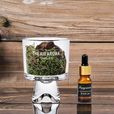 Elegante designer de decoração de casa 100ml Difusor de musgo de vidro com óleo perfumado cor personalizada