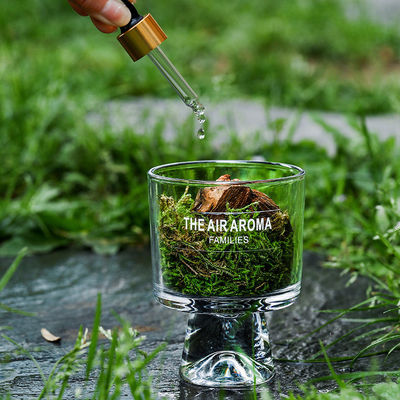 Exquisita embalagem de presente em caixa 100 ml Difusor de Reed Luxury óleo perfumado inspirado em musgo