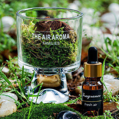 Difusor de Musgo de 100 ml inspirado na Natureza Difusor de Óleo Perfumado Criativo para Manter o Ar Fresco