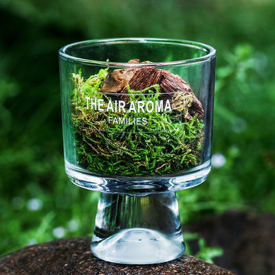 Difusor de Musgo de 100 ml inspirado na Natureza Difusor de Óleo Perfumado Criativo para Manter o Ar Fresco