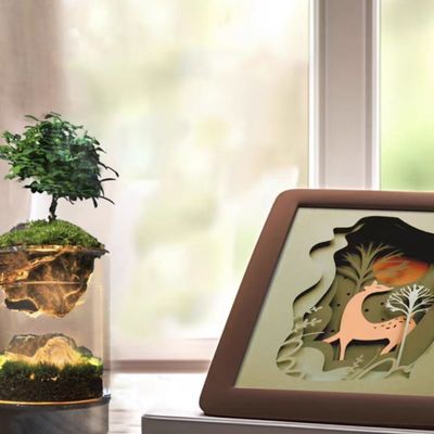 Terrários modernos de fibra de vidro para micro-paisagem contemporânea em shoppings