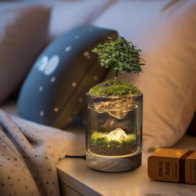 Terrários modernos de fibra de vidro para micro-paisagem contemporânea em shoppings