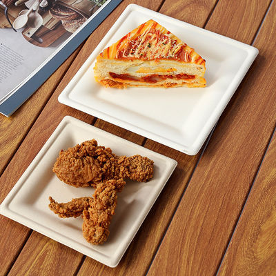 Servidores de mesa e louça descartáveis biodegradáveis Forma redonda Amigável ao ambiente