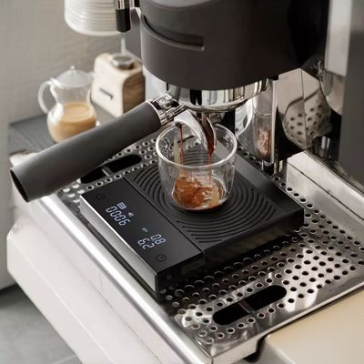 Densidade Balança digital multifuncional de pesagem de frutas de café com baterias AAA de 2x1,5V