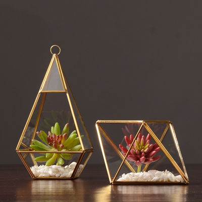 Elegante caixa de visualização de vidro de design nórdico com borda de latão e base de madeira