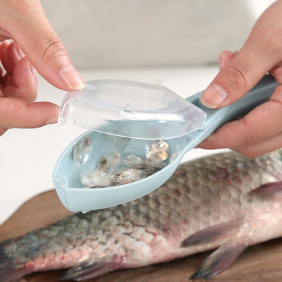 Diga olá para limpar os balcões da cozinha com este raspador manual de balança de peixe