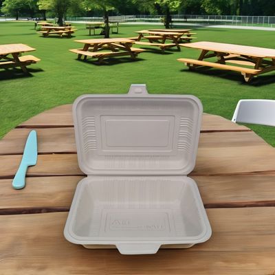 Biodegradável Recipiente de alimentos descartáveis Quadrado durável Caixas de plástico para almoço com tampa