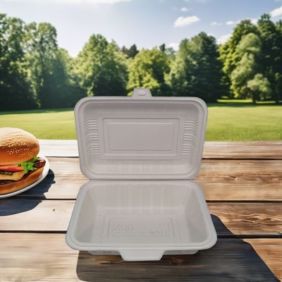 Biodegradável Recipiente de alimentos descartáveis Quadrado durável Caixas de plástico para almoço com tampa