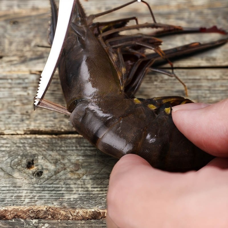 Limpeza rápida de camarão com chopper de vegetais e faca de barriga de peixe de aço inoxidável